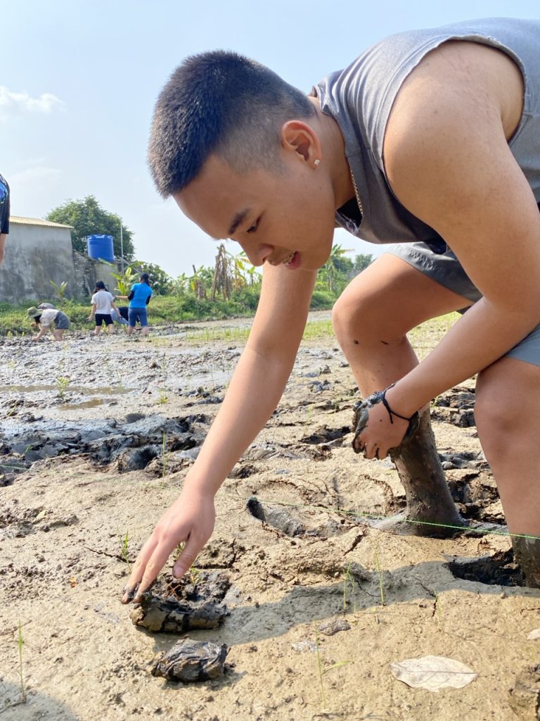 Tràm Viên Minh