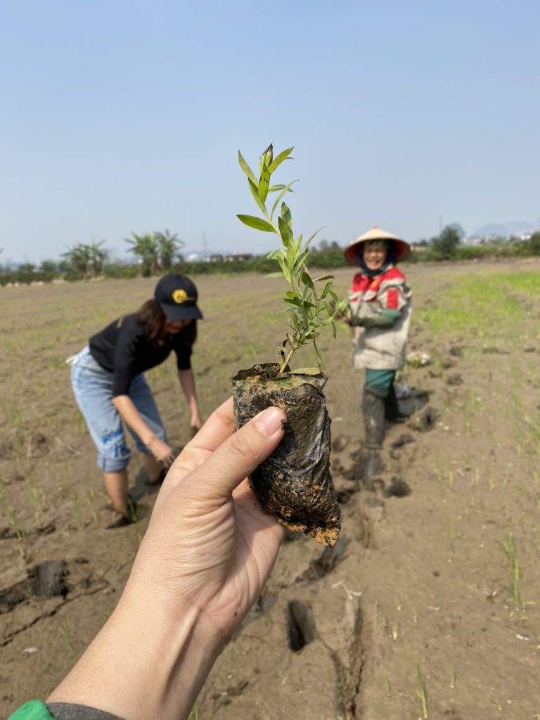Tràm Viên Minh