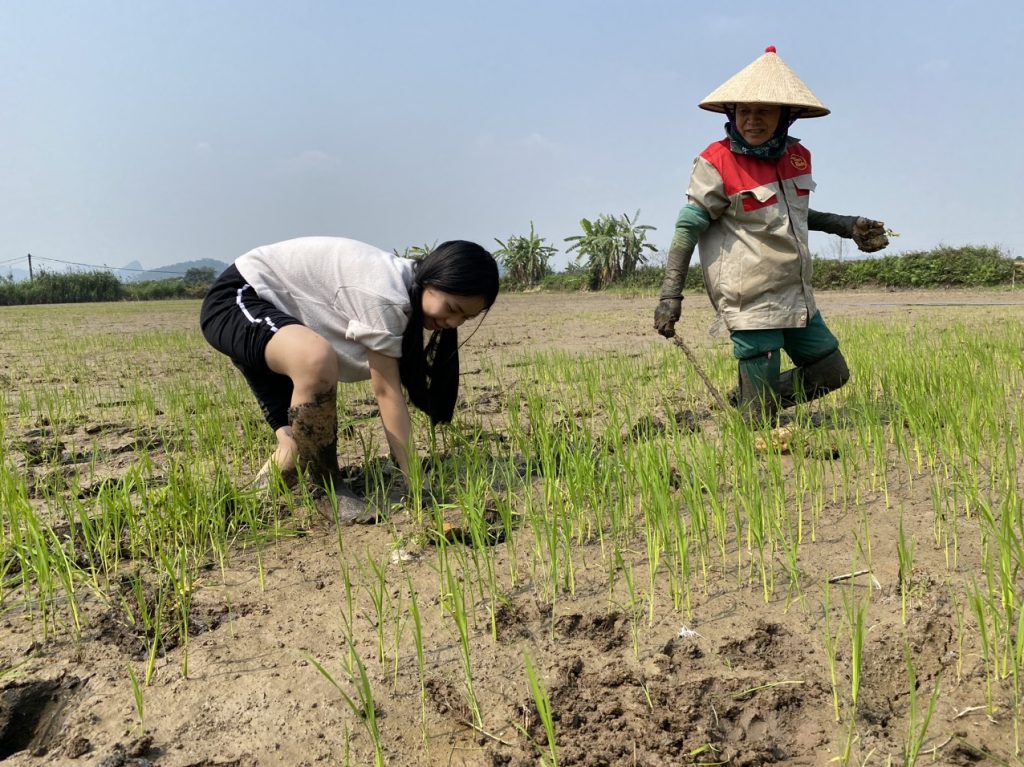Tràm Viên Minh