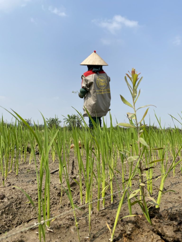 Tràm Viên Minh