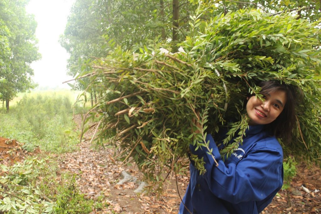 Tràm Viên Minh
