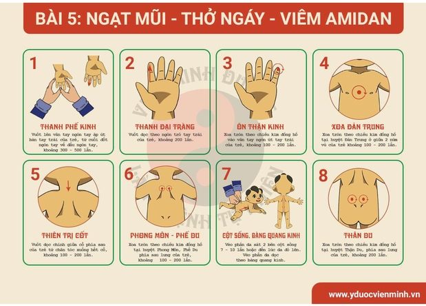 Bài massage trị ngạt mũi, thở ngáy viêm amidan của bác sĩ Viên Minh Đường