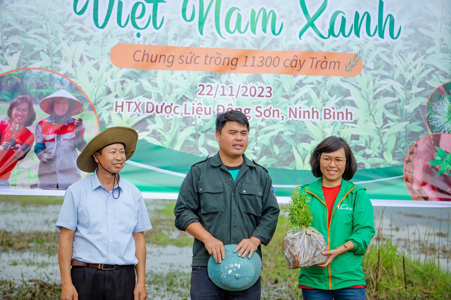 Anh Nguyễn Văn Dư, Giám đốc HTX Dược liệu Đông Sơn hướng dẫn kỹ thuật trồng tràm