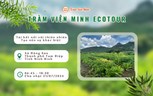 Chương trình Tràm Viên Minh Ecotour tại Ninh Bình